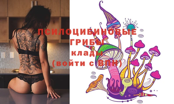 прущий лед Волосово