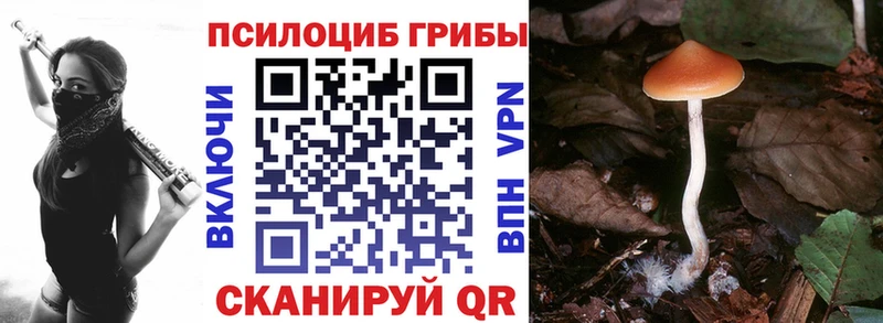 Псилоцибиновые грибы Cubensis  Людиново 